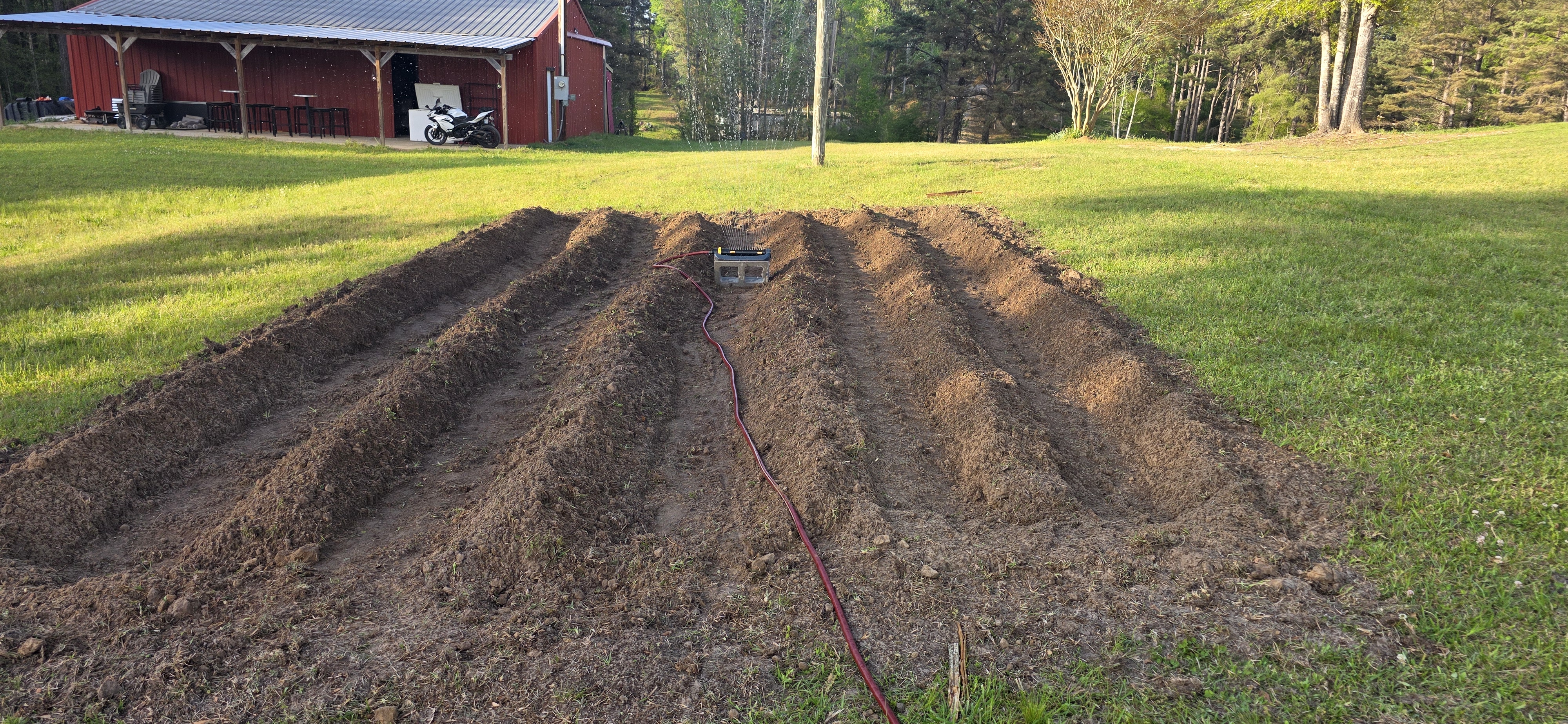 Garden rows and barn at The Pearl