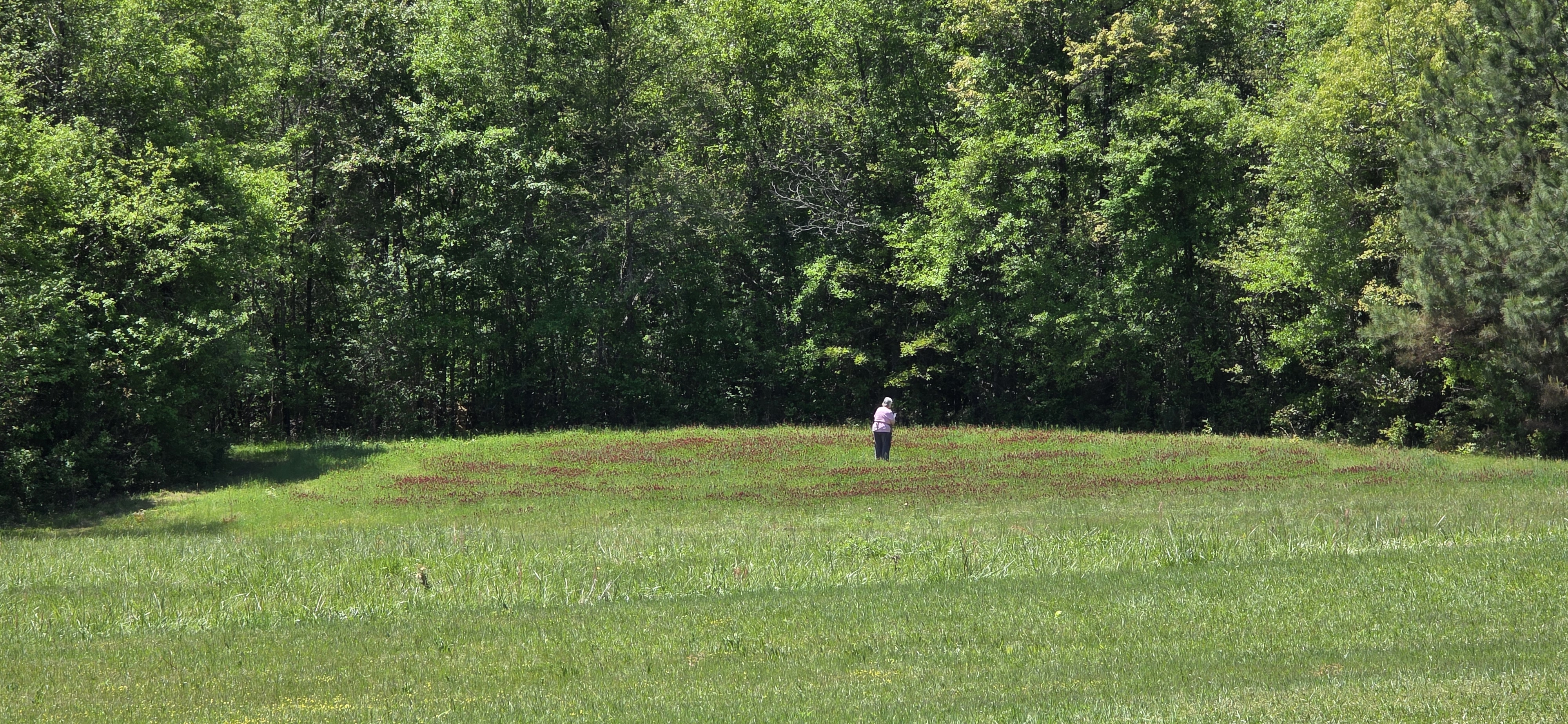 Walking the green field at The Pearl