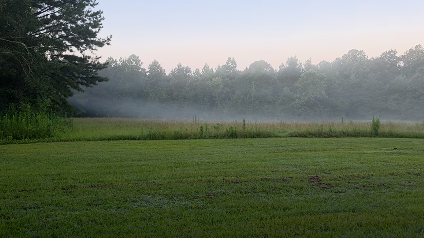 Misty morning field at The Pearl