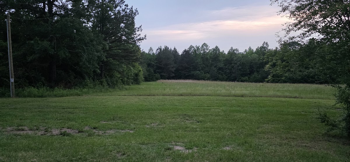 Open field in the evening at The Pearl
