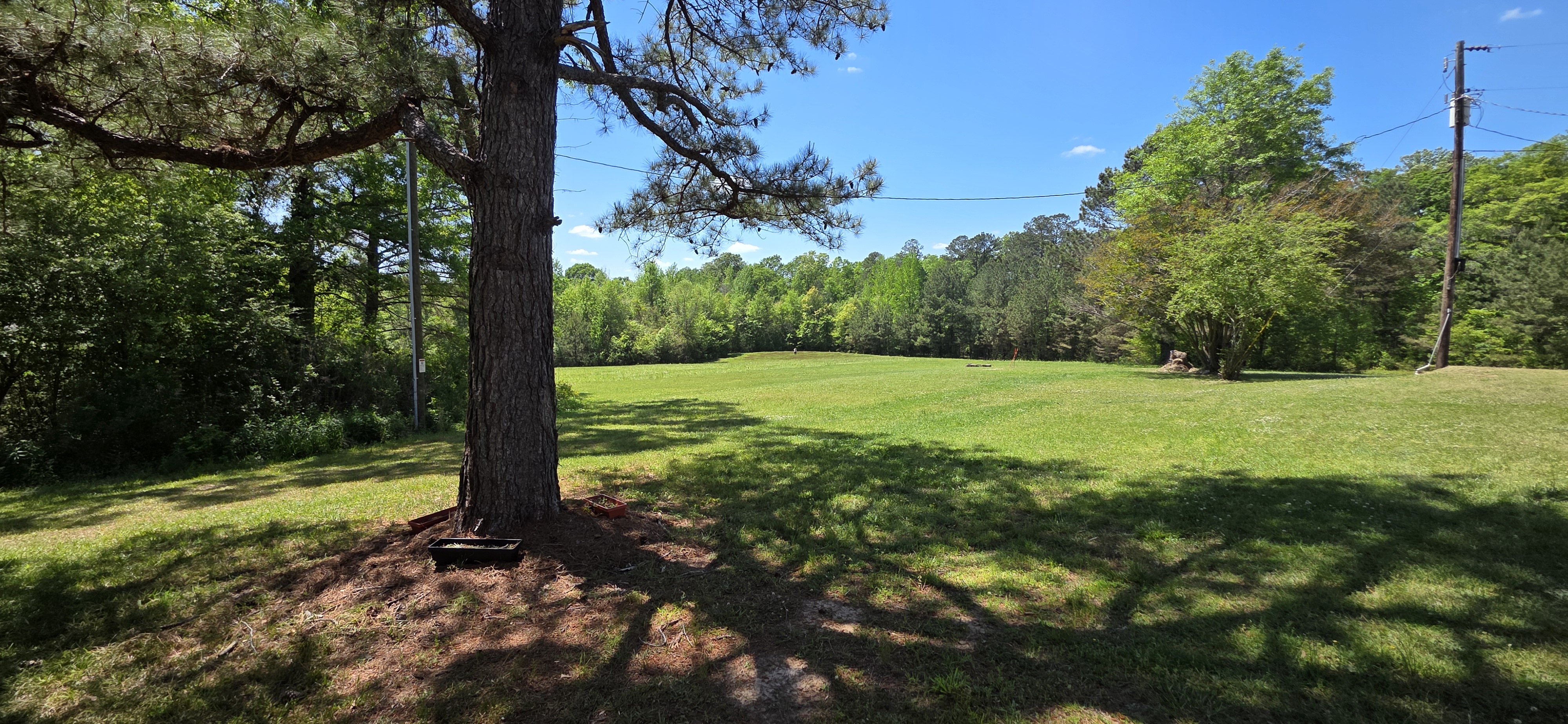 Wide open field and tree line at The Pearl