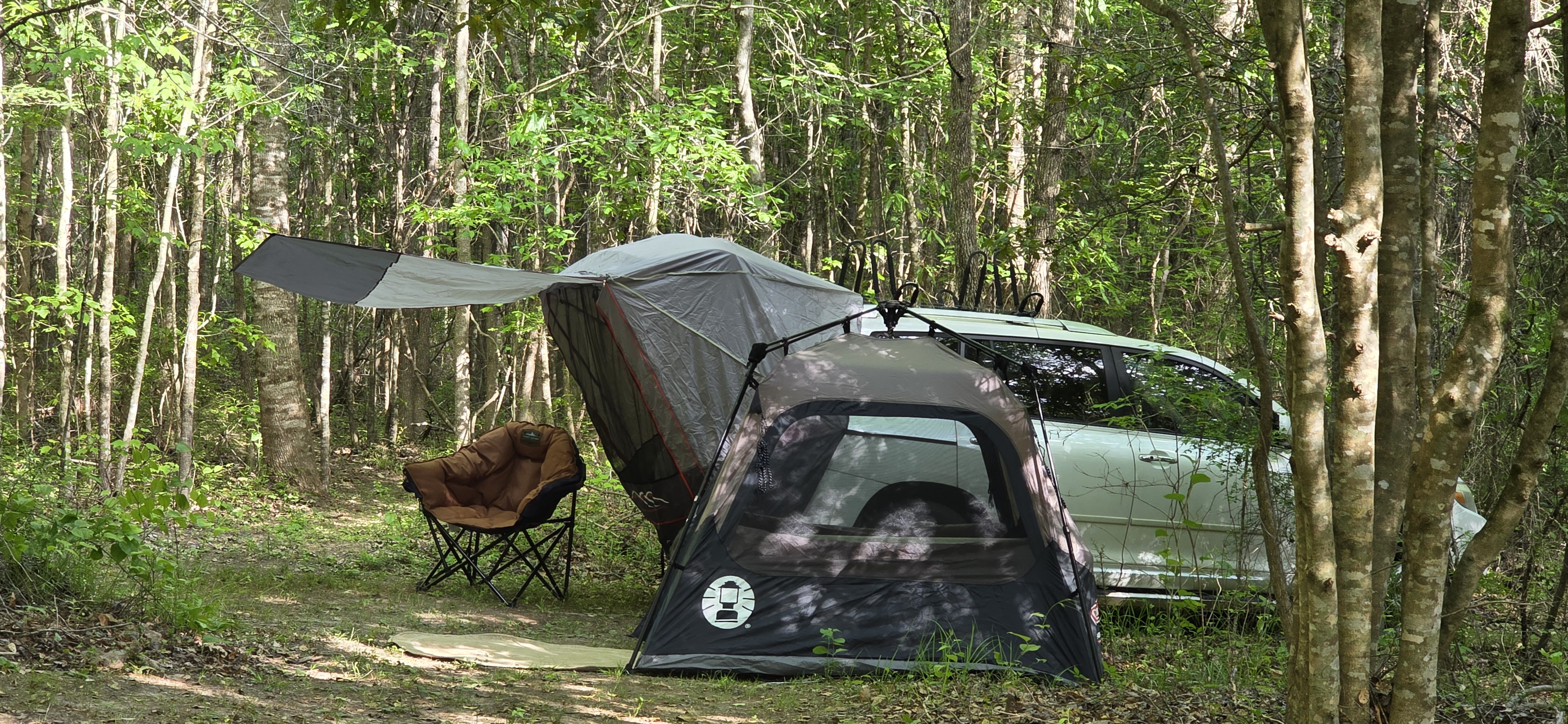 Wooded campsite at The Pearl